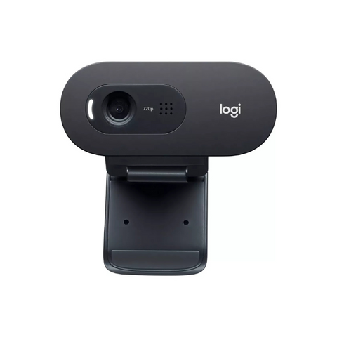 Câmera web Logitech C505e HD 30FPS cor preto