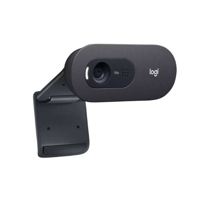 Câmera web Logitech C505e HD 30FPS cor preto